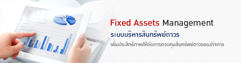 Fixed Asset